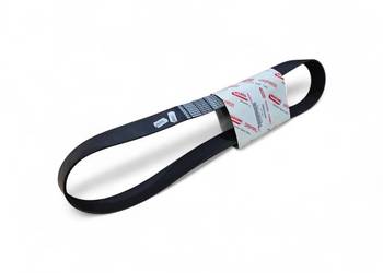 Gaspardo pasek wielorwkowy wentylatora F06010160R PJ1287/16