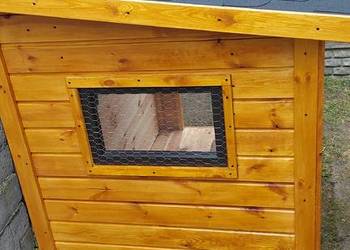 Kurniki dla kur Nowy