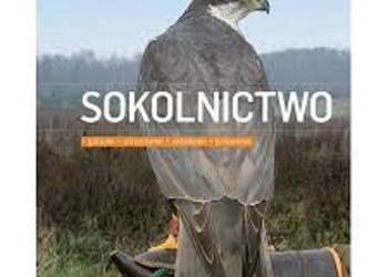 Sokolnictwo - Marek Cieślikowski