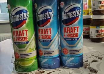 Domestos 0.980litra niemiecki