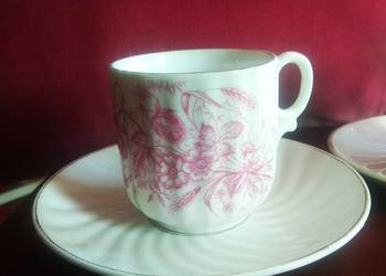 Filiżanka Carl Tielsch  Altwasser. Filiżanka Carl Tielsch  Altwasser.