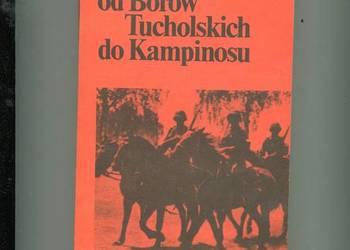 Od Borów Tucholskich do Kampinosu - Sławiński