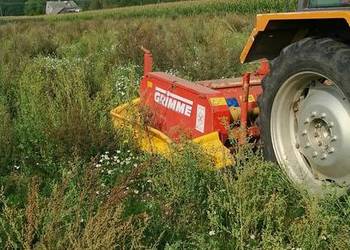 Ścinacz łęt łęty łęcin łęciarka Grimme ks1500 niszczarka 2 rzędowa tył