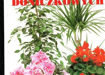 Pielęgnacja roślin doniczkowych