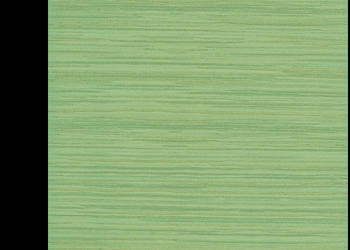 Płytka Chaber verde 33,3x 33,3; seria Stokrotka, Kwadro, Paradyż, płytki