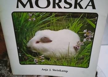 Świnka morska książki Warszawa księgarnia Praga unikat