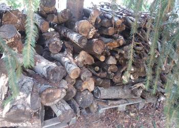 DREWNO SUCHE LIŚCIASTE - OSIKA 12 mp tylko po  95 zł / mp