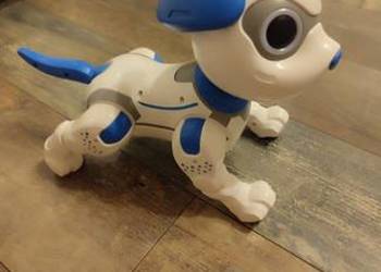 Interaktywny pies robot Robo Rex sterowany pilotem (Gliwice)