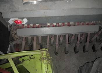 Siewnik poznaniak oryginał