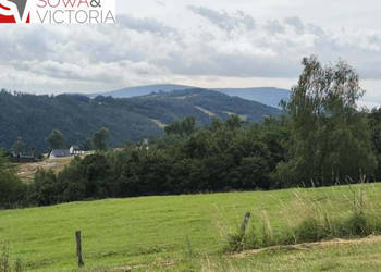 Panoramiczny widok na szczyty gór, ok 1 km od PKP