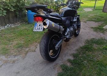 Honda Hornet 600