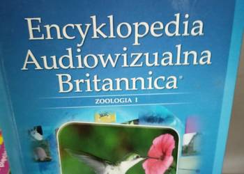 Encyklopedia w dobrej cenie książki wyprzedaż kondratowicza podręczniki