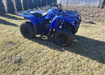 Yamaha bruin grizzly 250