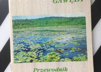 ( 3647 ) Leśne Legendy Nadleśnictwo Rokita Szczecin