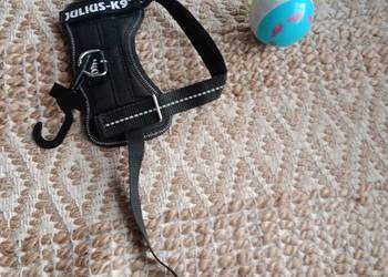 Szelki Julius, piłka gratis