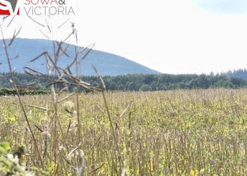 Działka na końcu drogi z Warunkami Zabudowy