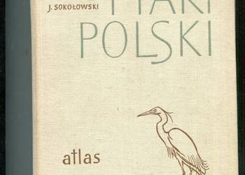 Ptaki Polski Atlas - Sokołowski