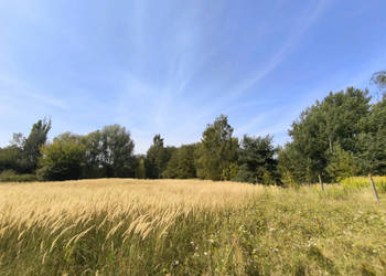 DZIAŁKA USŁUGOWA, 2000 m² KOBYLIN, gmina GRÓJEC, MPZP