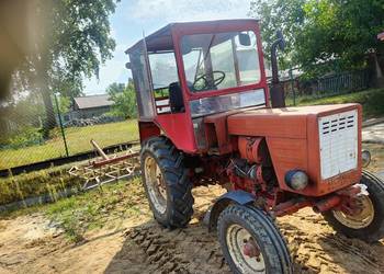 Wladimirec t25