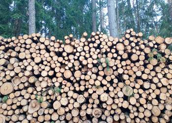 Stęple żerdzie słupki ogrodzeniowe