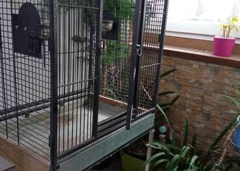 Sprzedam klatkę -Woliere dla ptaków