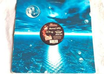 The Entity - Hawaii 303 12''UK Maxi