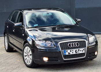 Audi A3 1.9TDi* czarny* 5DRZWI* bdb stan* KLIMA* alufelgi * 8P (2003-2012) Audi A3 1.9TDi* czarny* 5DRZWI* bdb stan* KLIMA* alufelgi * 8P (2003-2012)