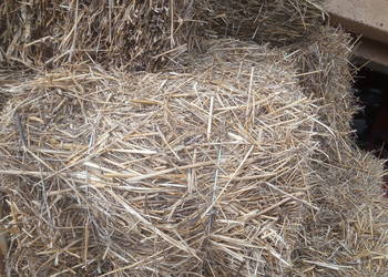 Sprzedam słomę w kostkach