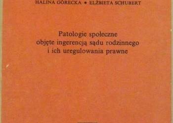 PATOLOGIE SPOŁECZNE OBJĘTE INGERENCJĄ SĄDU RODZINNEGO