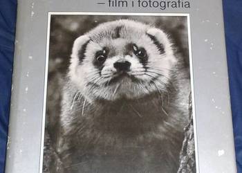 Film i fotografia - Włodzimierz Puchalski