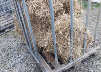 Paśnik dla zwierząt