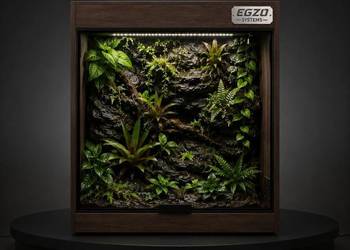Terrarium dla gekona orzęsionego pytona regiusa boa cesarskiego