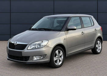 Škoda Fabia Salon Polska - II właściciel - STAN BDB II (2007-2014)