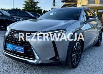 Lexus UX 250h,Hybryda,Gwarancja