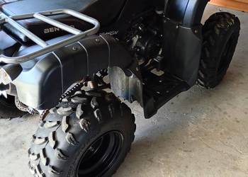 Quad Benyco Dragon 2019r