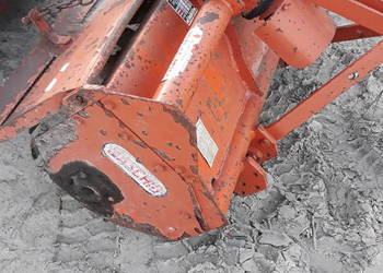 Glebogryzarki, karczownik Howard, Kuhn, Maschio  95-130 cm