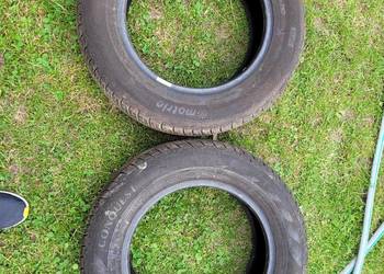 Opony Letnie Motrio Conquest 195/65 R15 91T DOT 1519