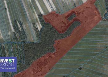[9,76 ha] przetarg na dzierżawę gruntów rolnych