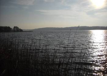Działka budowlana z linią brzegową jeziora