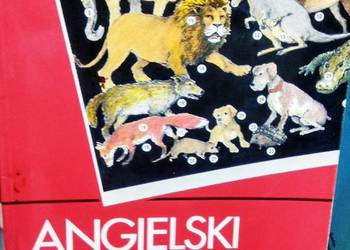 Angielski słownik obrazkowy antykwariat naukowy