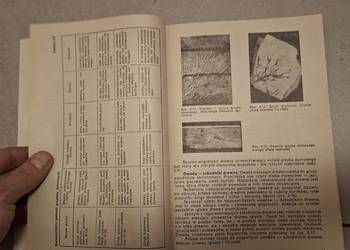 Remonty budynków i wzmacnianie konstrukcji