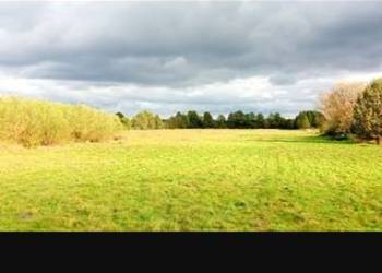 Działka Izabelin gm. Nieporęt