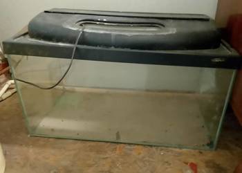 Witam posiadam 2 akwarium na sprzedaż