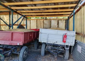 Witam sprzedam owies pszenicę i mieszankę