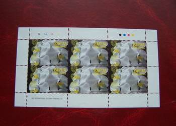 Papua Nowa Gwinea 2004 MNH Flora Kwiaty Orchidea