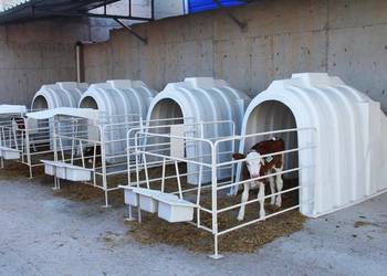 budka igloo dla cieląt wraz z wygrodzeniem