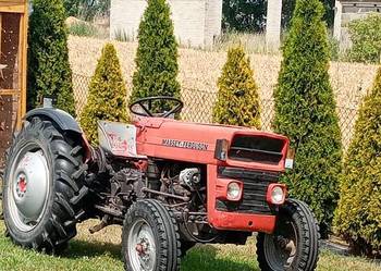 Ciągnik Massey Ferguson MF 135