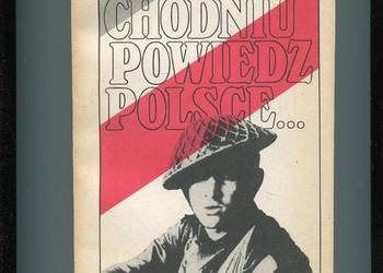 Przechodniu powiedz Polsce Wspomnienia z lat 1941-1945