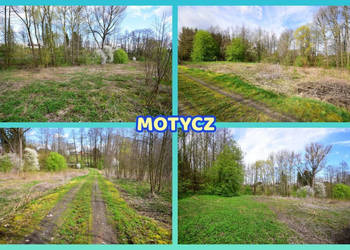 Działka o pow. 3115 m², blisko szkoła, MPK.