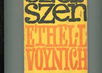 Szerszeń - Voynich